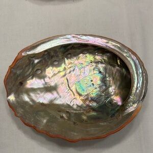 Large Natual Abaloni shell trinket dish.